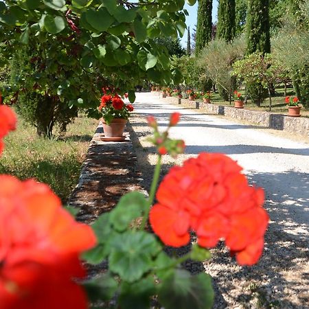 Casale Santa Caterina Aparthotel Amelia Bagian luar foto