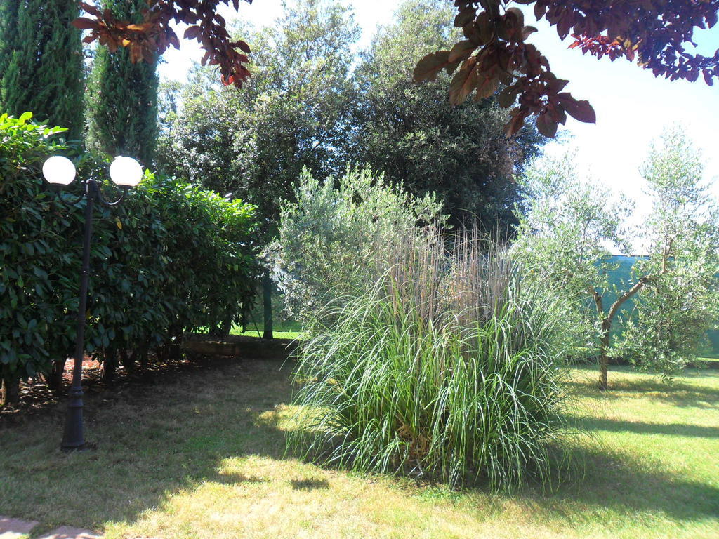 Casale Santa Caterina Aparthotel Amelia Bagian luar foto