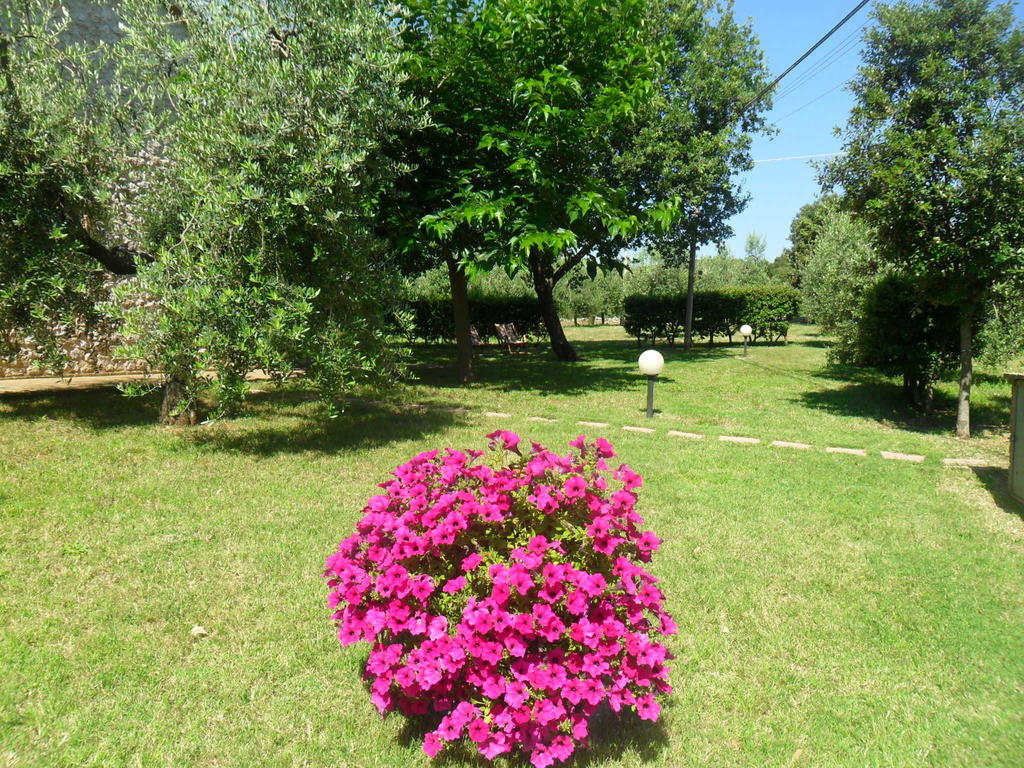 Casale Santa Caterina Aparthotel Amelia Bagian luar foto