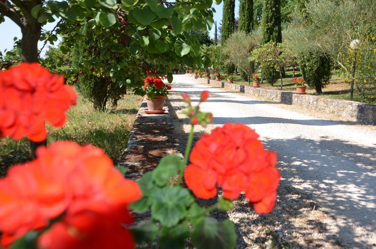 Casale Santa Caterina Aparthotel Amelia Bagian luar foto